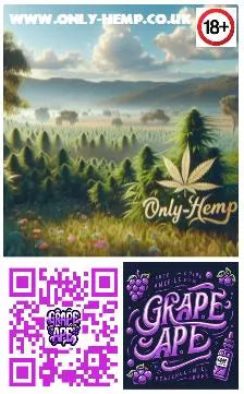 Grape Ape HHC 510 CART/BOTTLE Multi-Pack x3   (#HHC #CBD #THC) - ONLY-HEMP